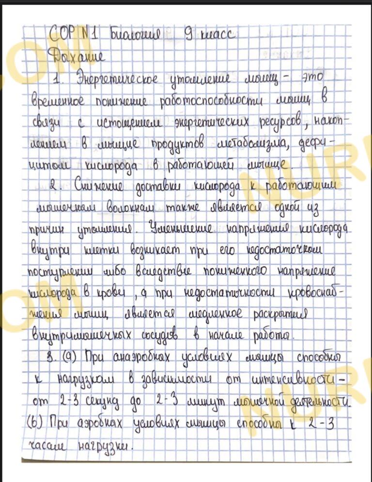 Биология 9 класс Дыханиеответ на СОР СОЧ БЖБ ТЖБ - NURBAGA.COM